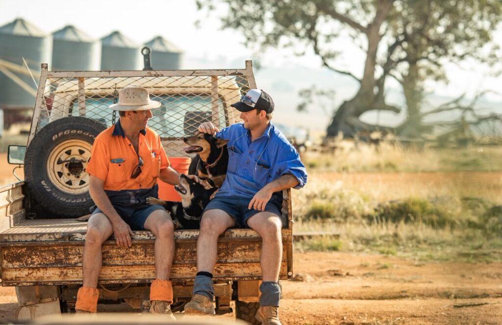 Two men and a dog sit on the back of a ute in a rural area.