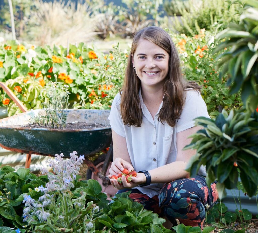 A woman picking strawberries in a community garden