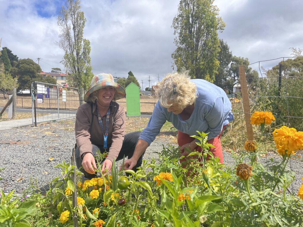 Two women gardening in a flower bed in the sunshine.